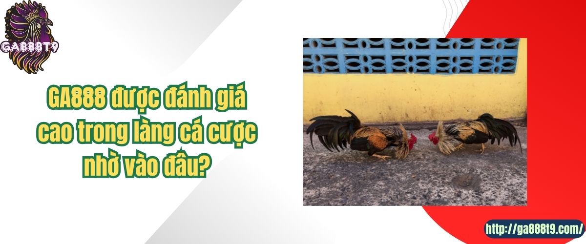 GA888 được đánh giá cao trong làng cá cược nhờ vào đâu?