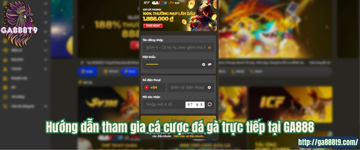 Hướng dẫn tham gia cá cược đá gà trực tiếp tại GA888