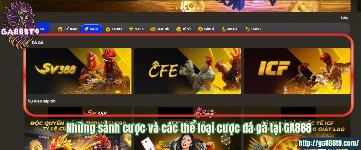 Những sảnh cược và các thể loại cược đá gà tại GA888