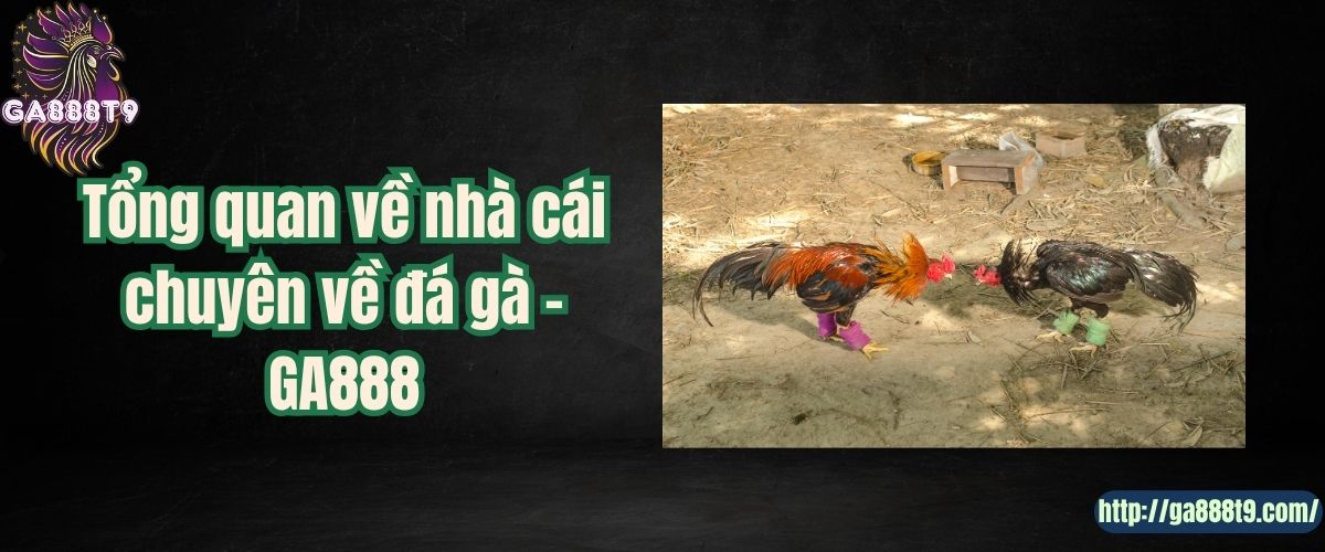 Tổng quan về nhà cái chuyên về đá gà - GA888