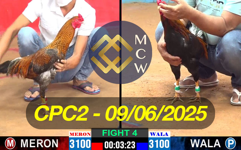 ĐÁ GÀ TRỰC TIẾP CPC3 NGÀY 04/06/2025