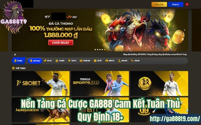 Nền Tảng Cá Cược GA888 Cam Kết Tuân Thủ Quy Định 18+